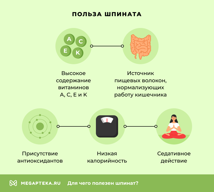 Польза шпината