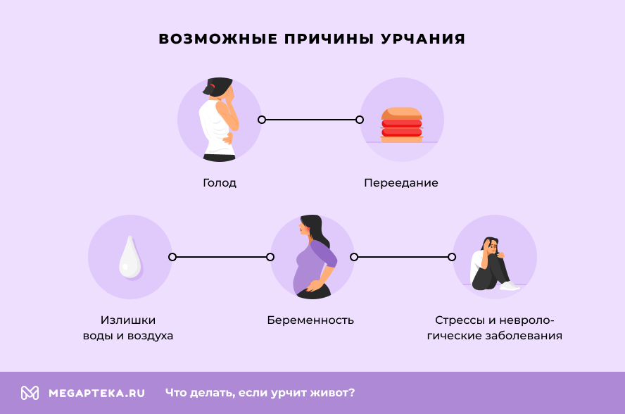 Возможные причины урчания