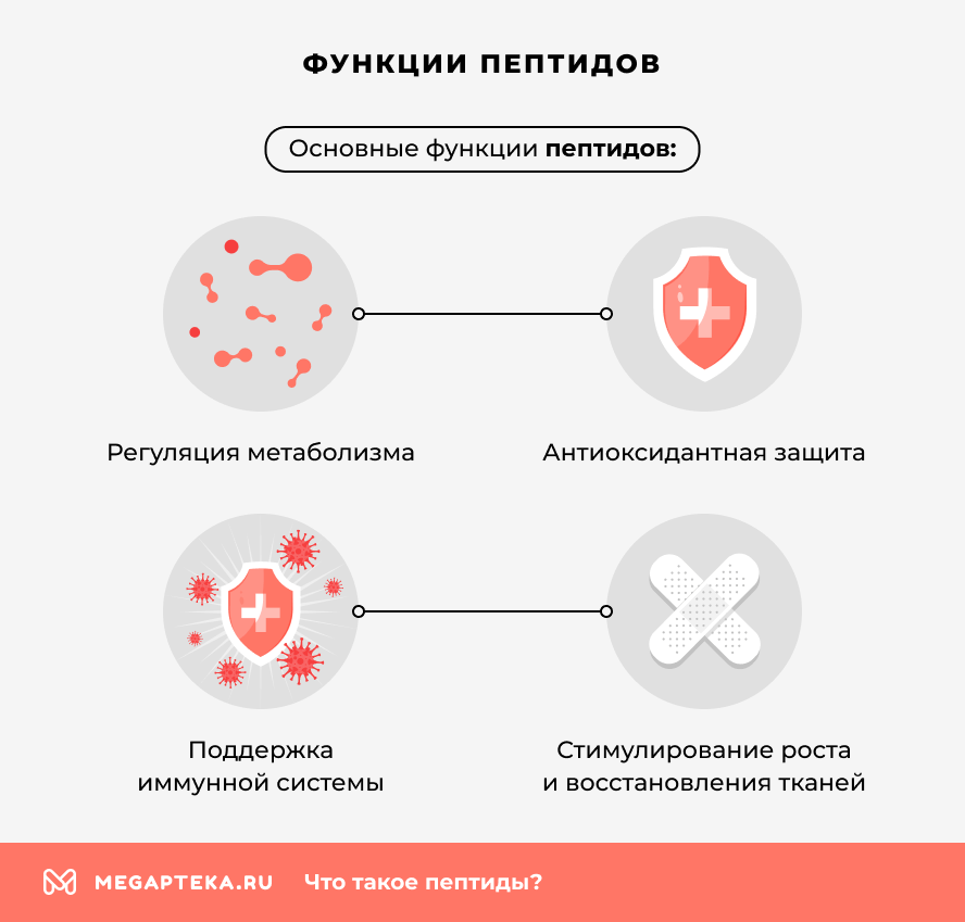 Функции пептидов
