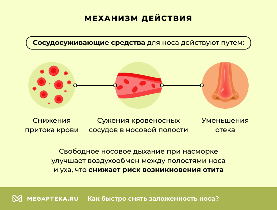 Механизм действия
