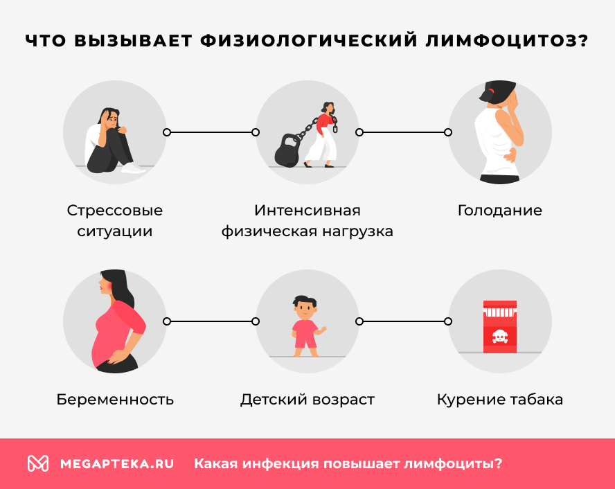 Что вызывает физиологический лимфоцитоз?