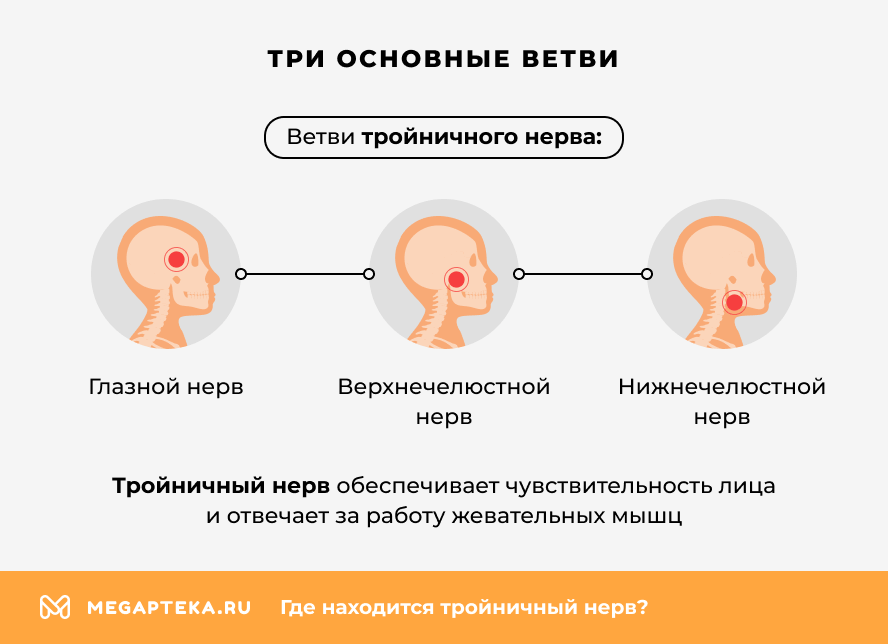 Три основные ветви