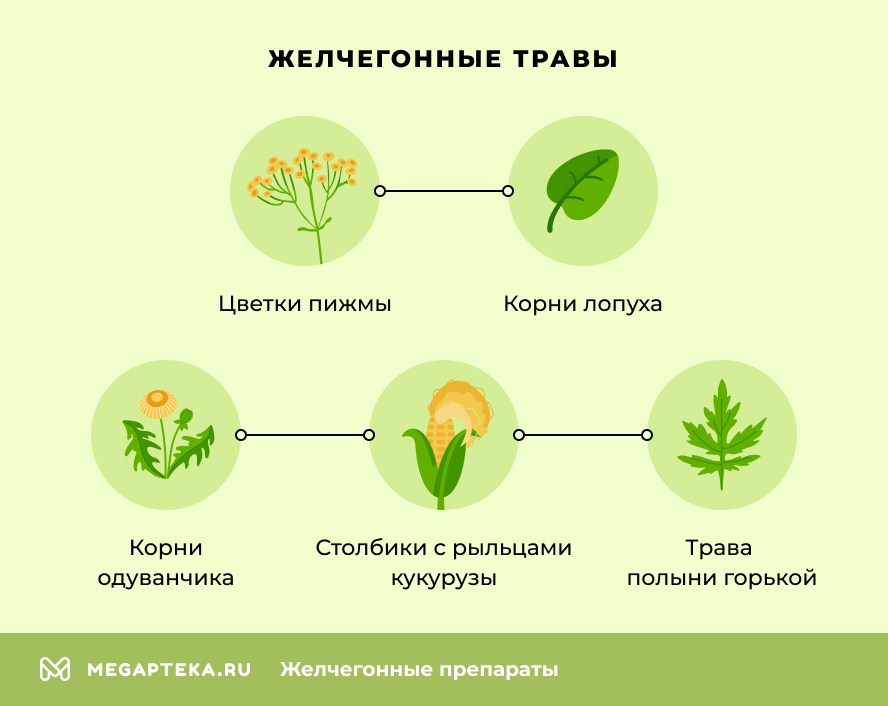 Желчегонные травы