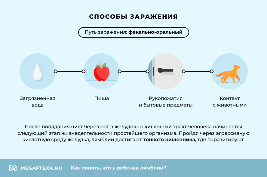 Способы заражения