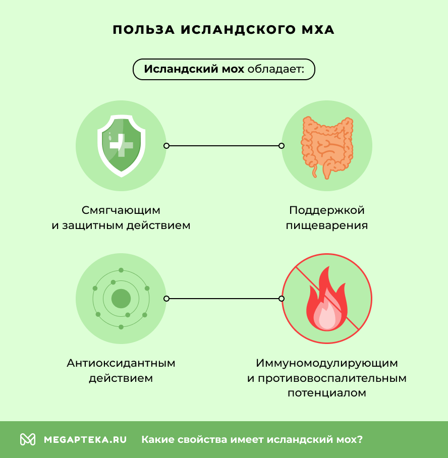 Польза исландского мха