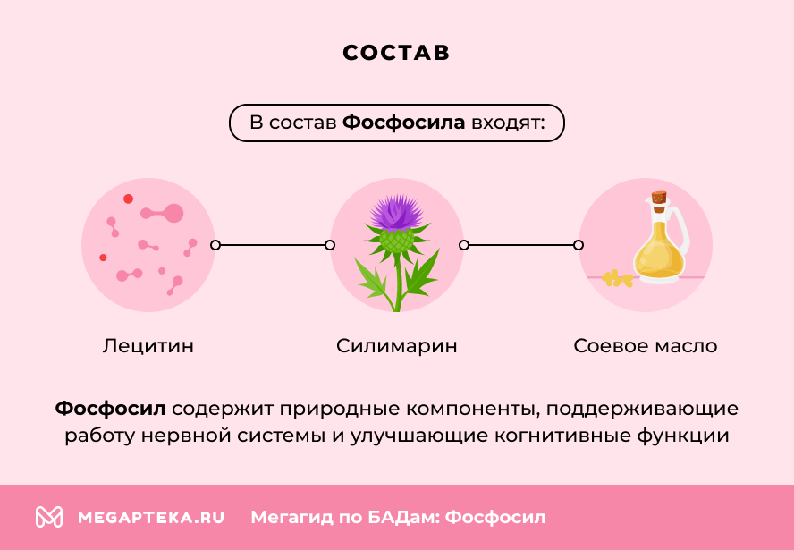 Состав