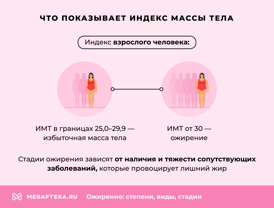 Что показывает индекс массы тела