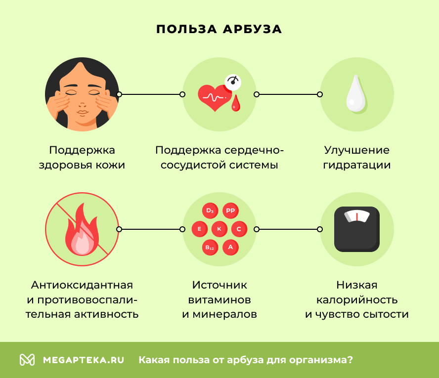 Польза арбуза