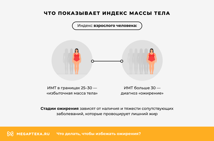 Что показывает индекс массы тела