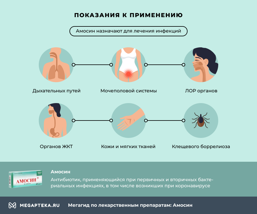 Показания к применению Амосина