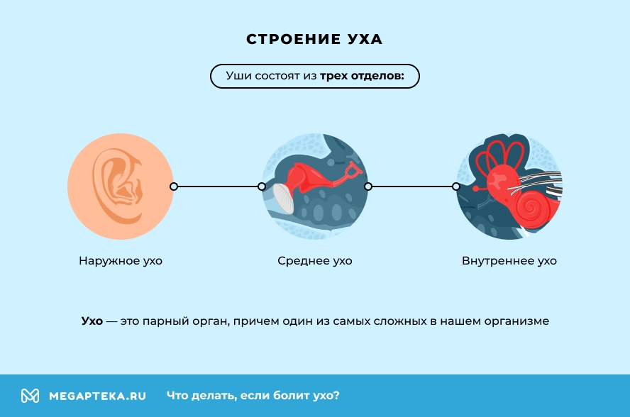 Болезни отдыхающих - диффузный отит, средний отит