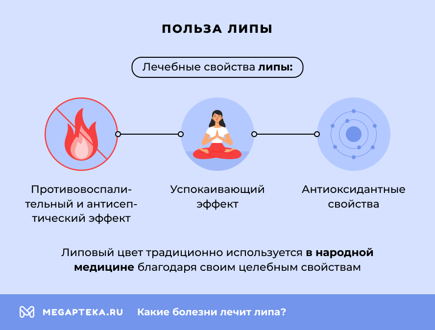 Польза липы