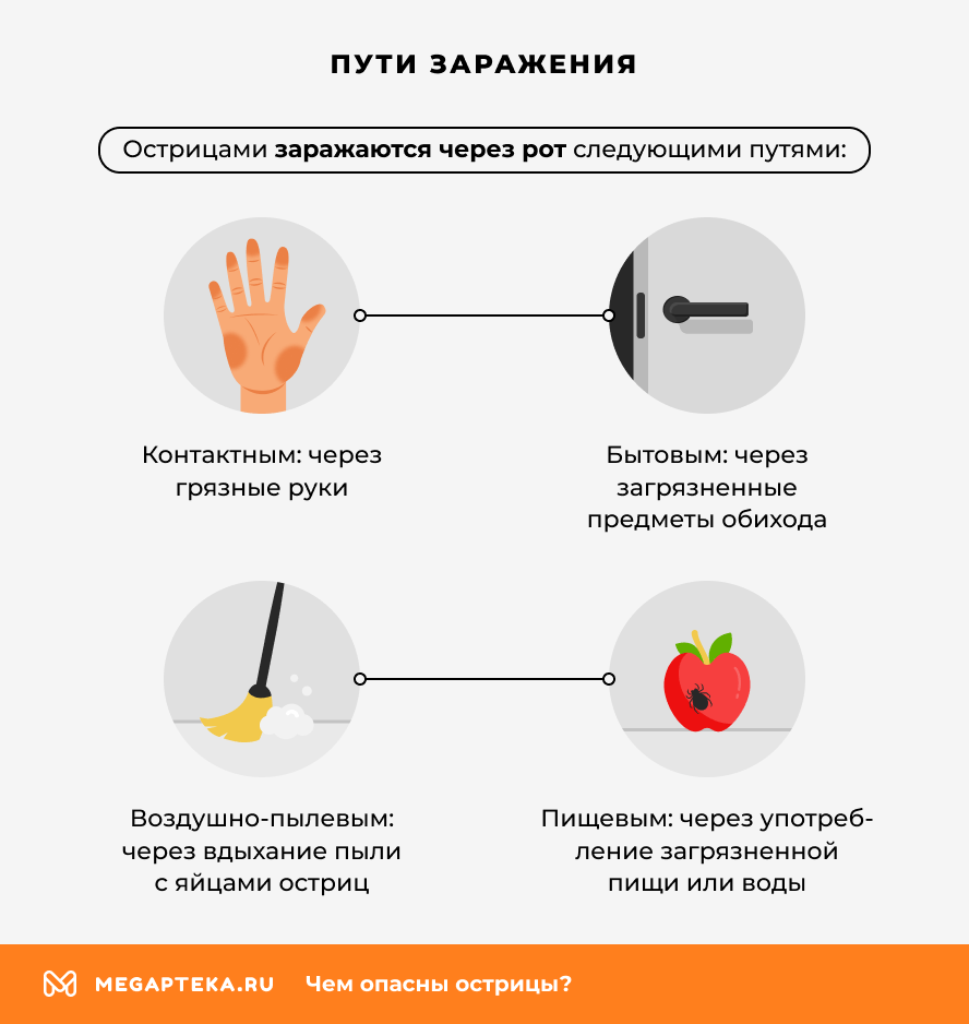 Пути заражения