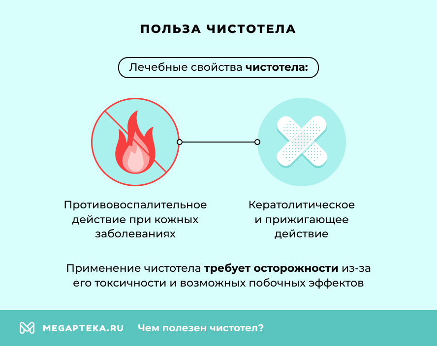 Польза чистотела