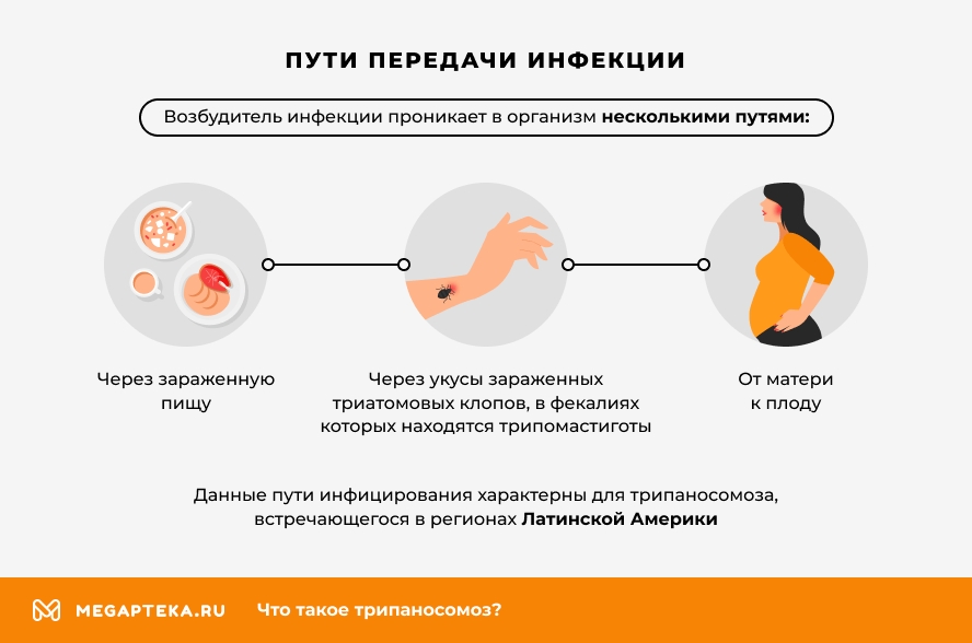Пути передачи инфекции