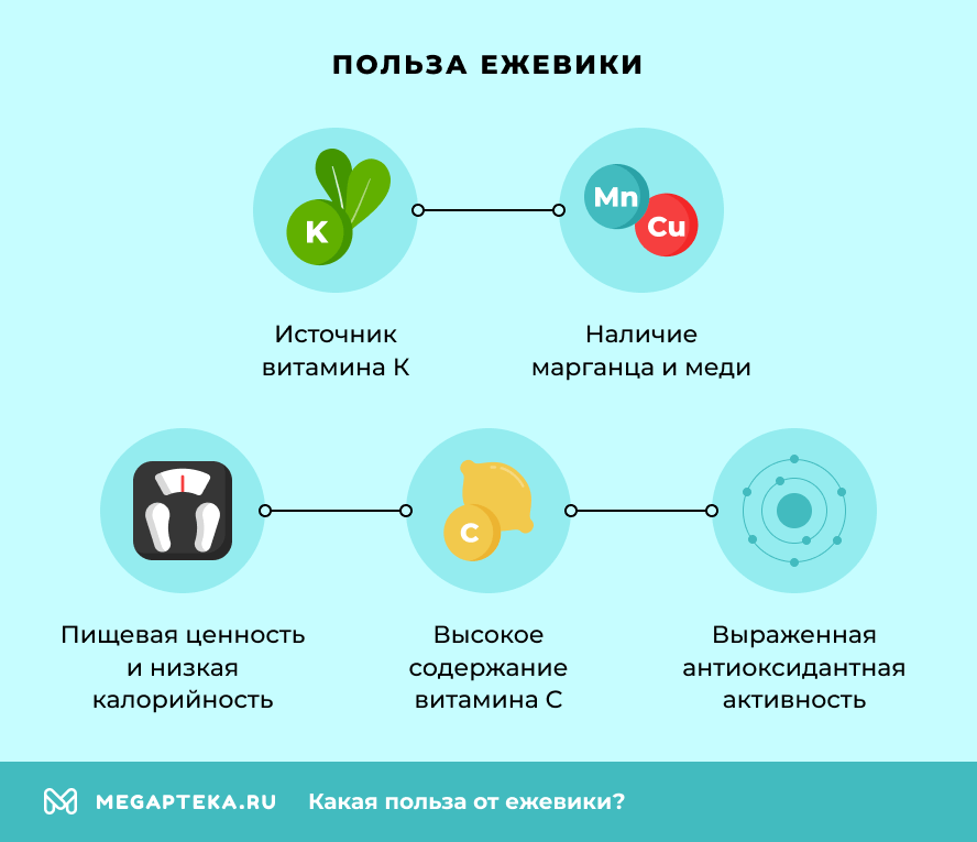 Польза ежевики