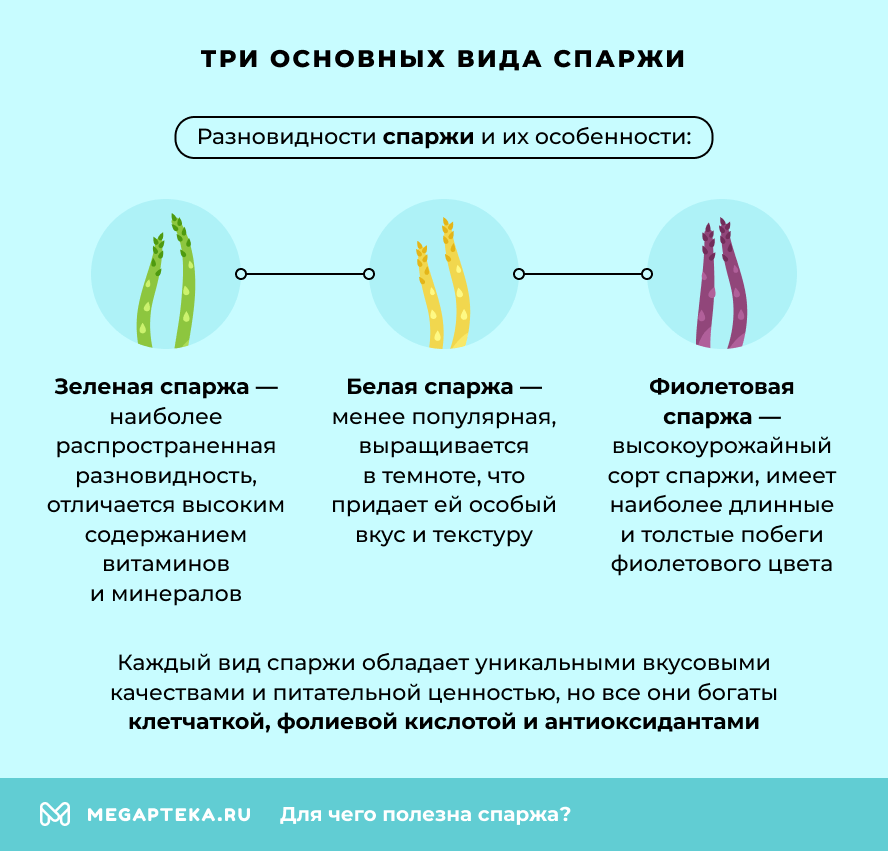 Три основных вида спаржи