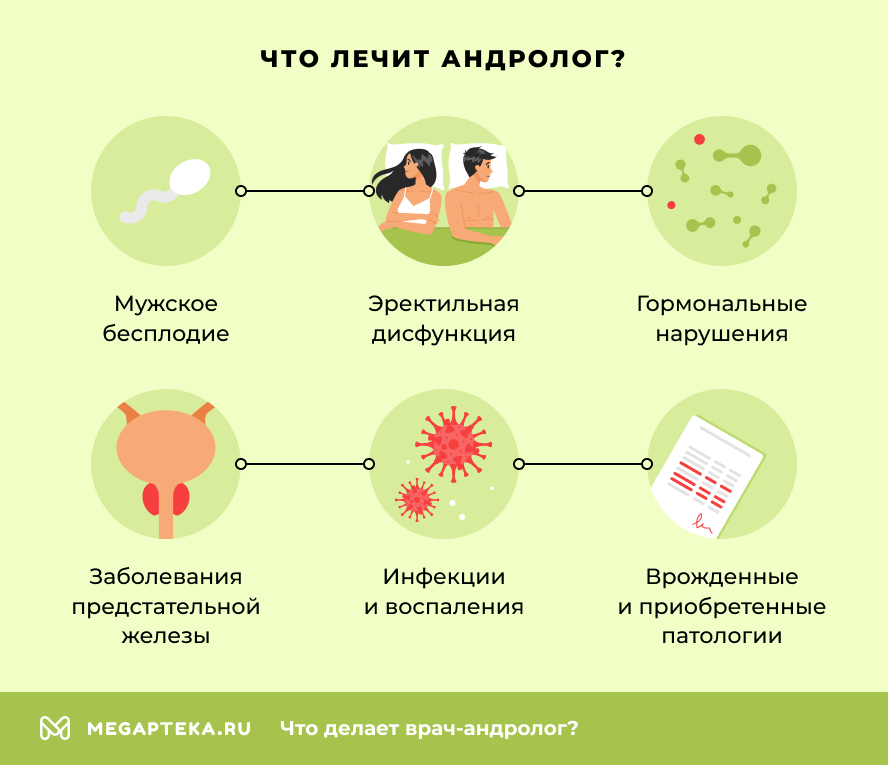 Что лечит андролог