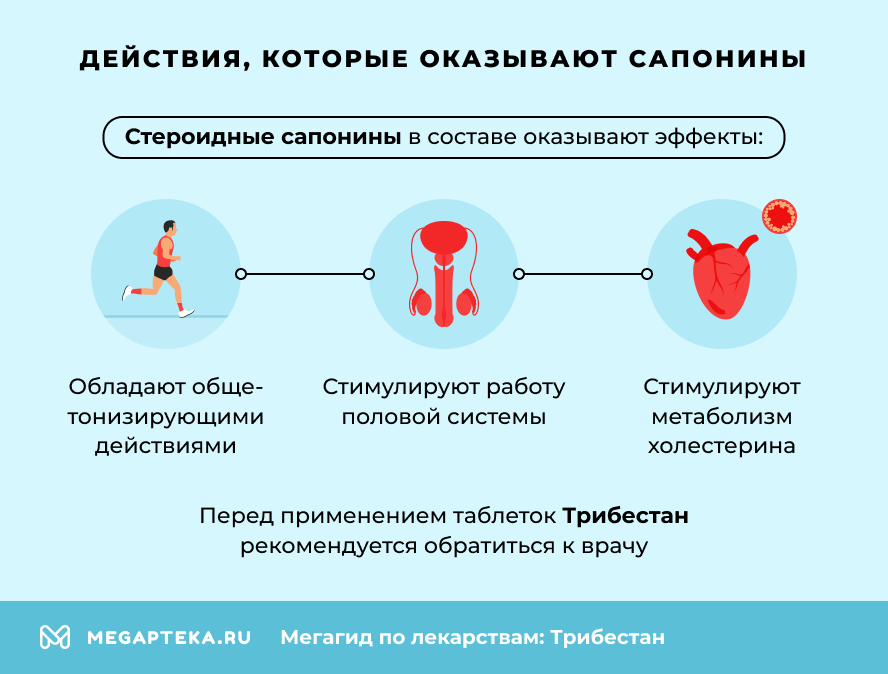 Действия, которые оказывают сапонины
