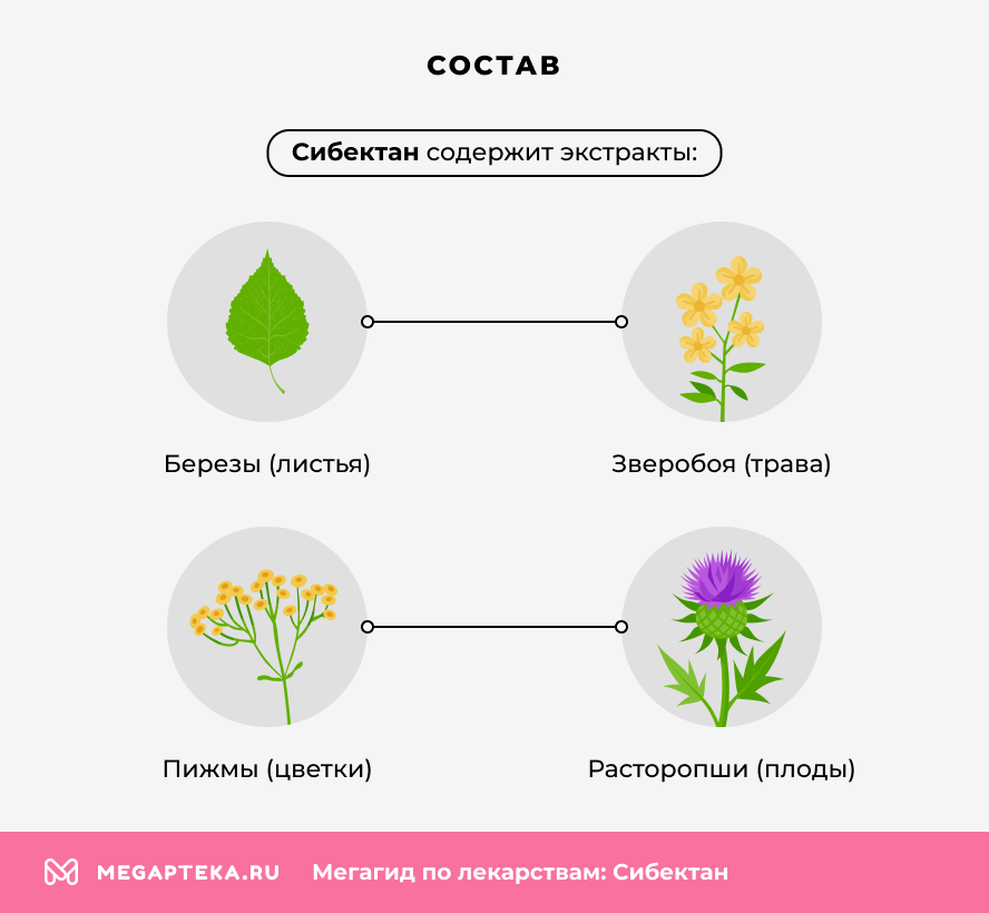Состав