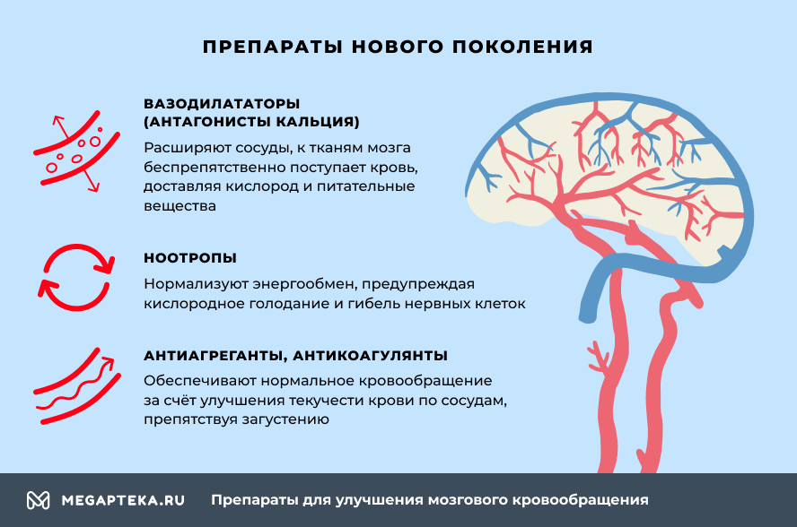Фитокоррекция мозгового кровообращения