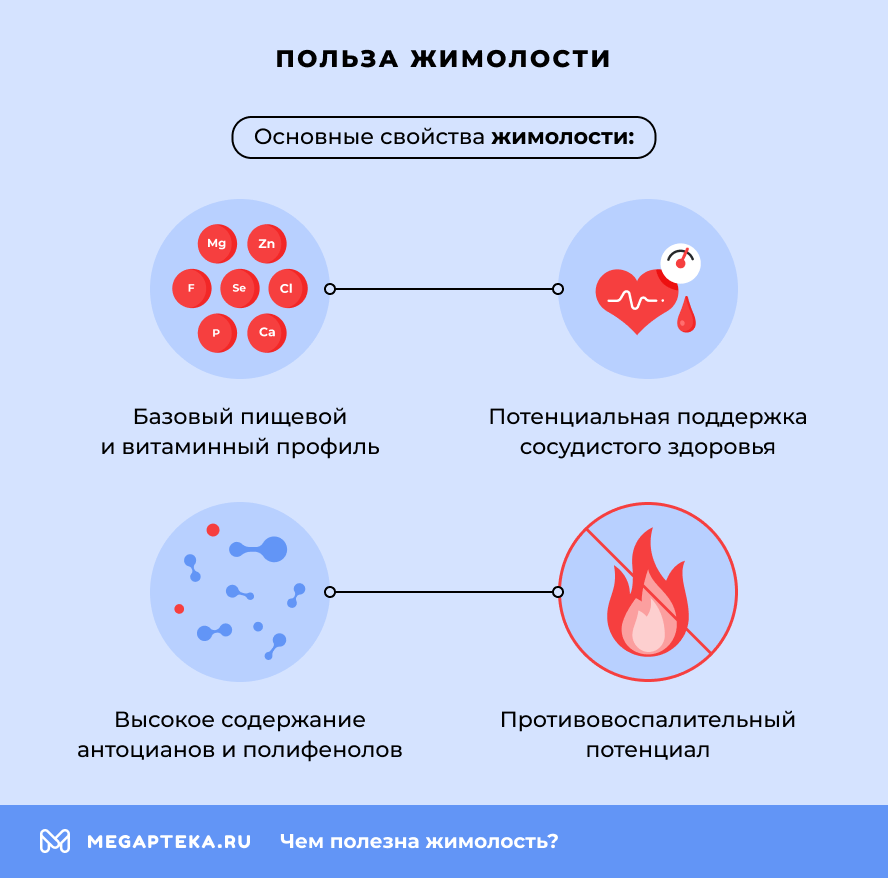 Польза жимолости