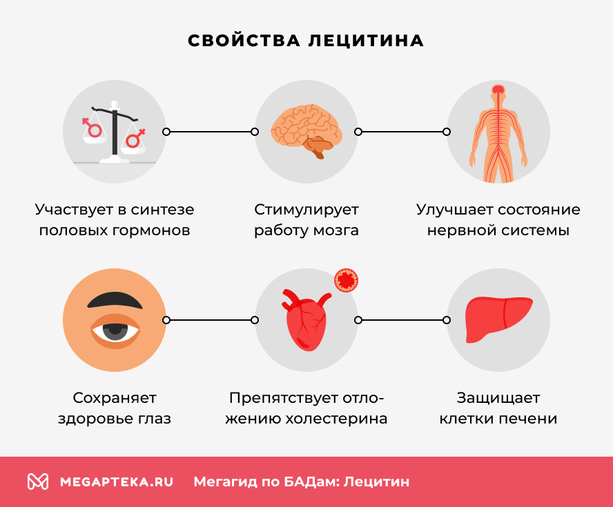 Свойства Лецитина