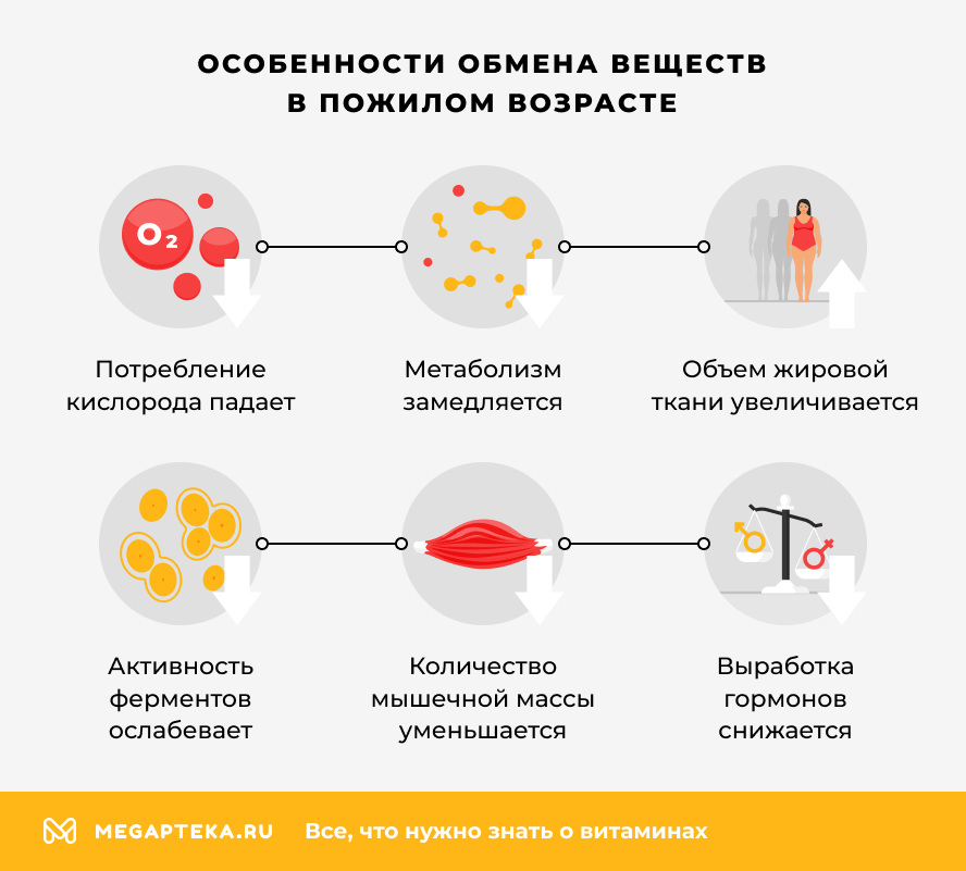 Особенности обмена веществ в пожилом возрасте
