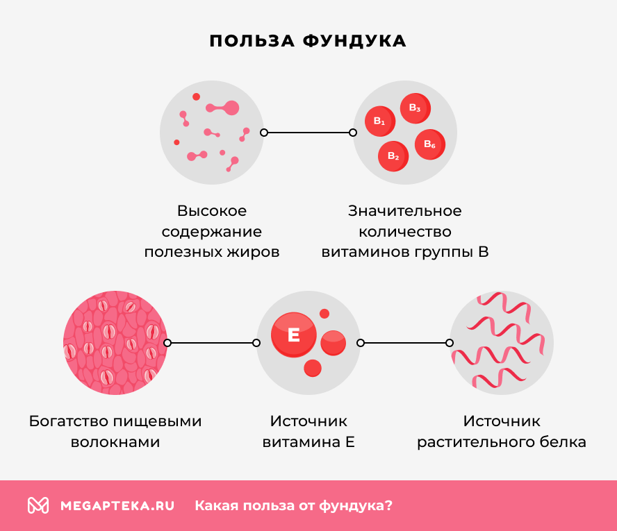 Польза фундука