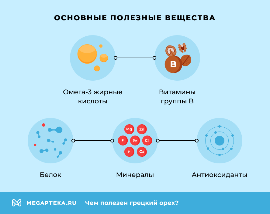 Основные полезные вещества