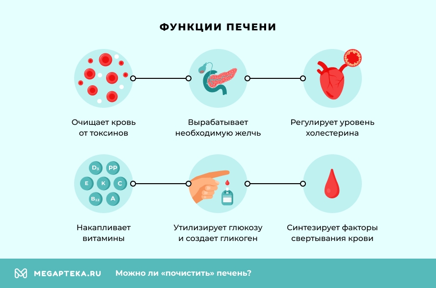 Таблетки для лечения печени недорогие эффективные - Список препаратов