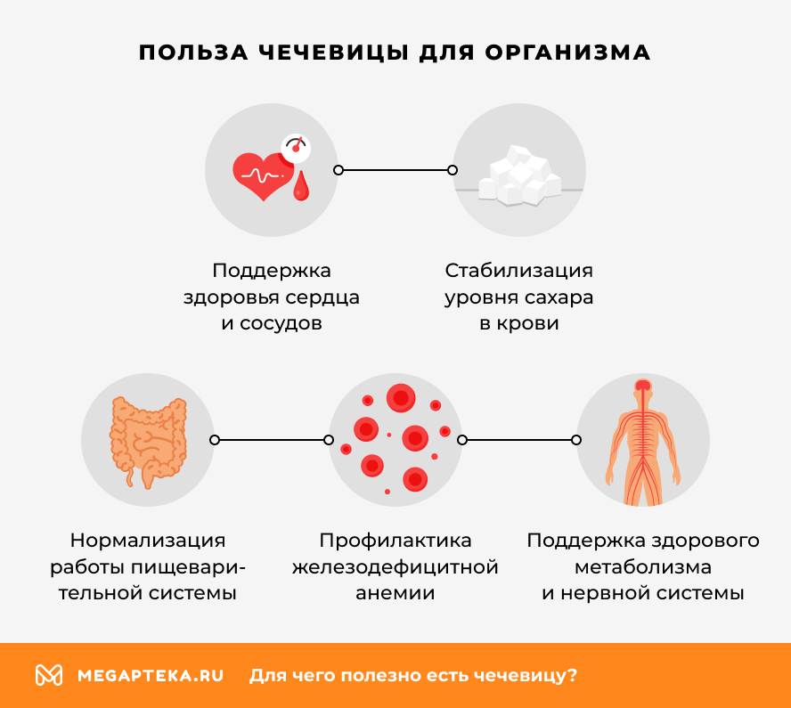 Польза чечевицы для организма