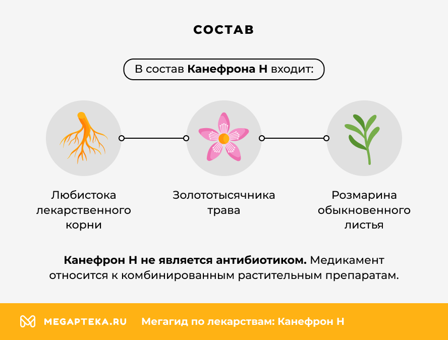 Состав