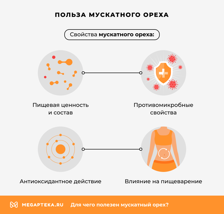 Польза мускатного ореха