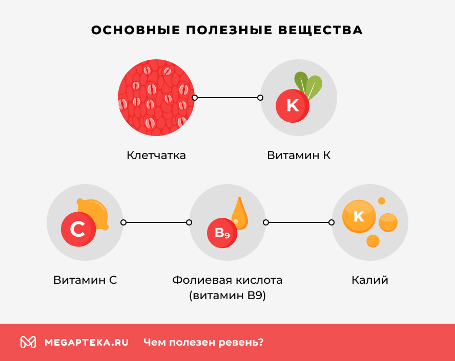 Основные полезные вещества
