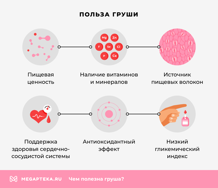Польза груши