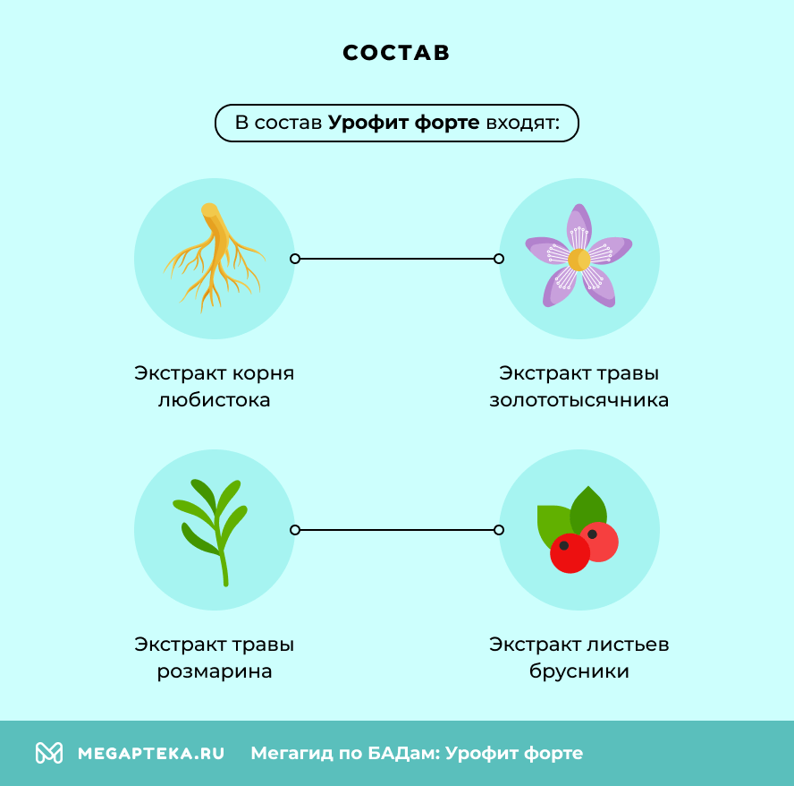 Состав