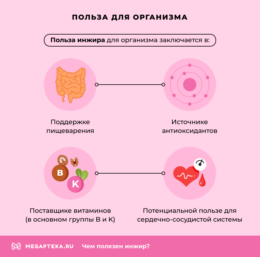 Польза для организма