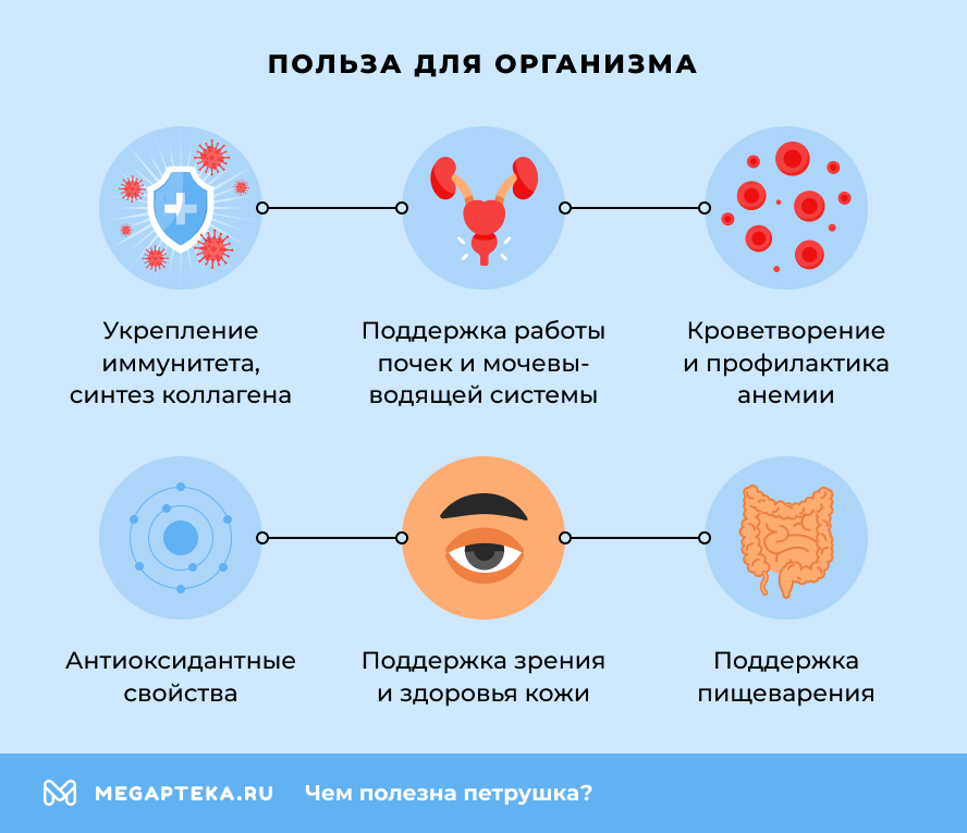 Польза для организма