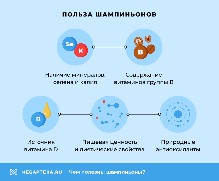 Польза шампиньонов