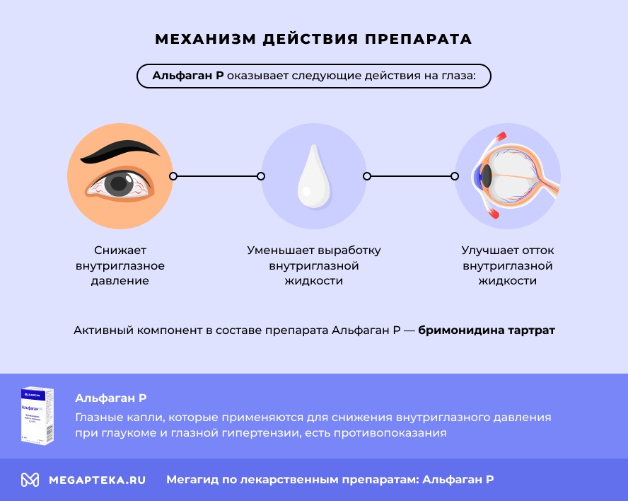 Механизм действия препарата