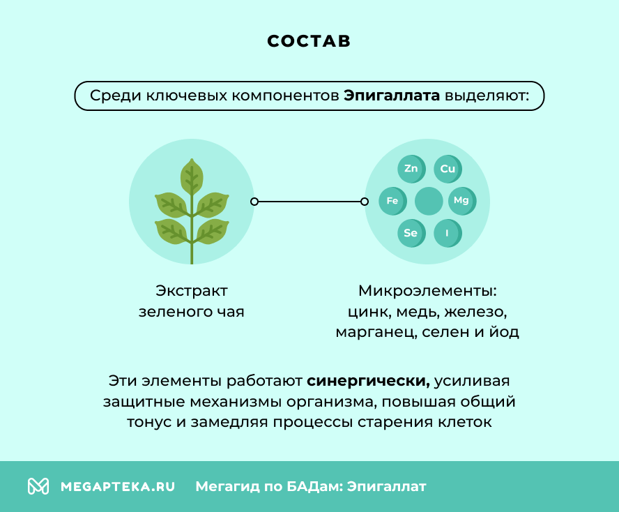 Состав