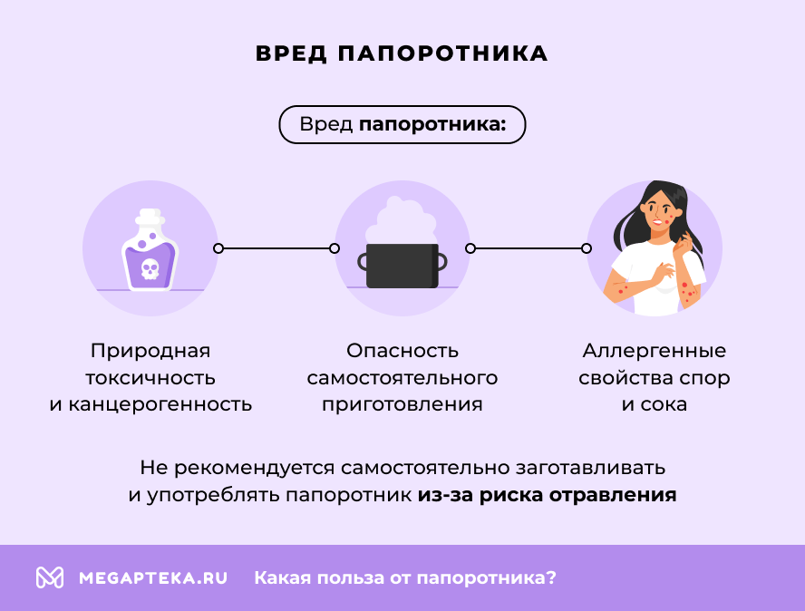 Вред папоротника