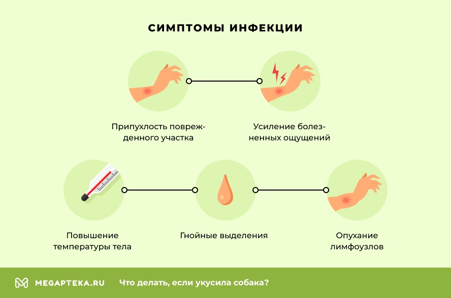 Симптомы инфекции