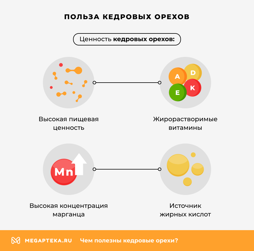 Польза кедровых орехов