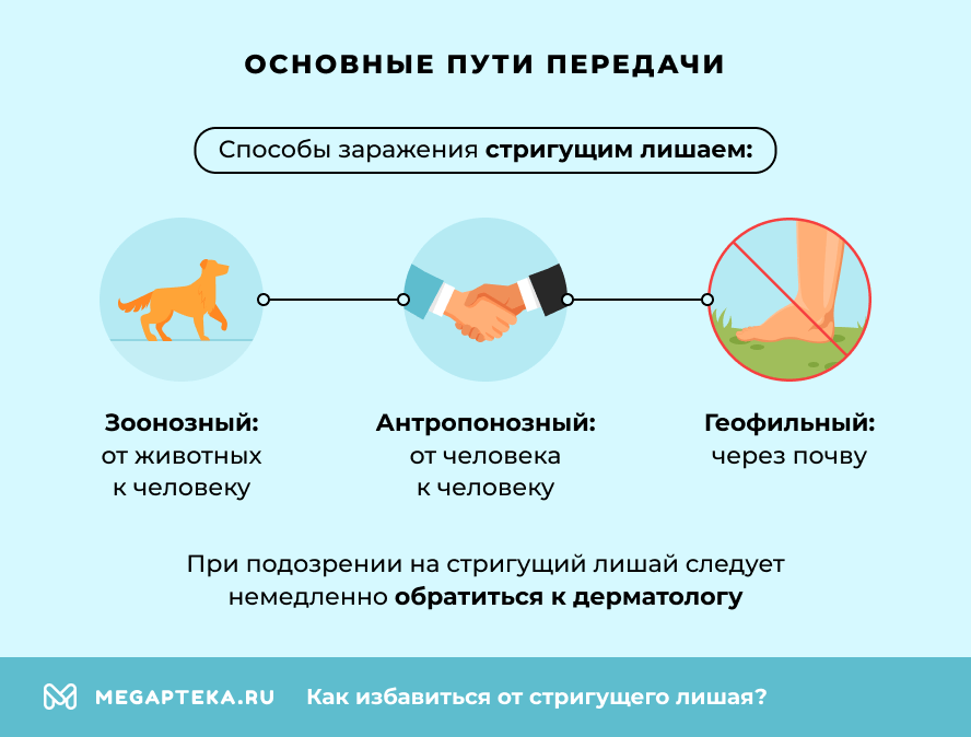 Основные пути передачи