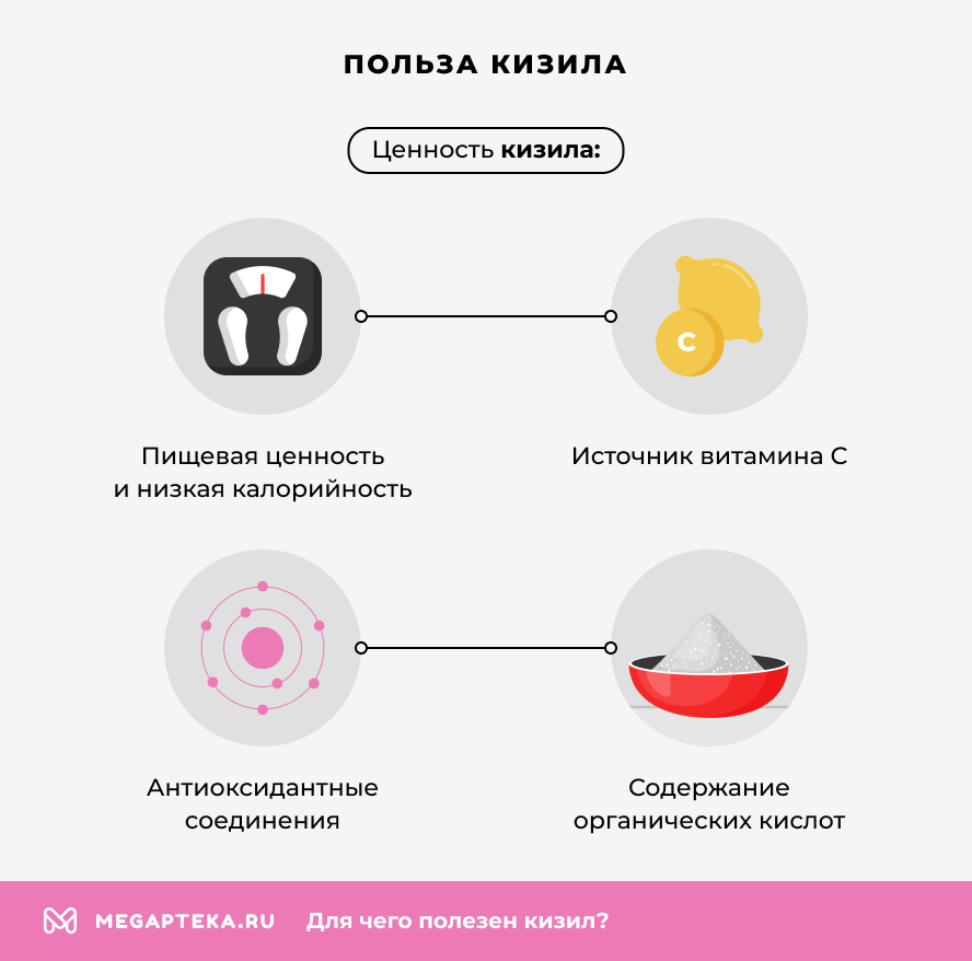 Польза кизила
