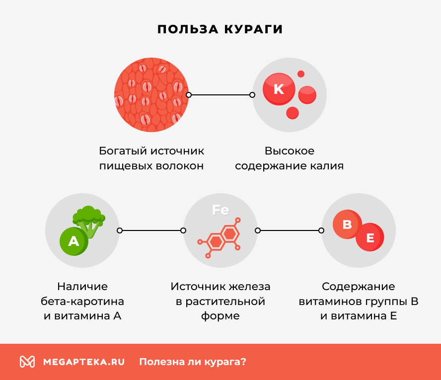 	 Польза кураги