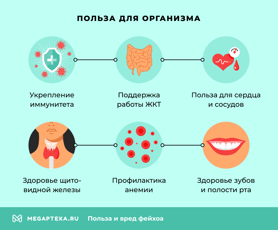 Польза для организма