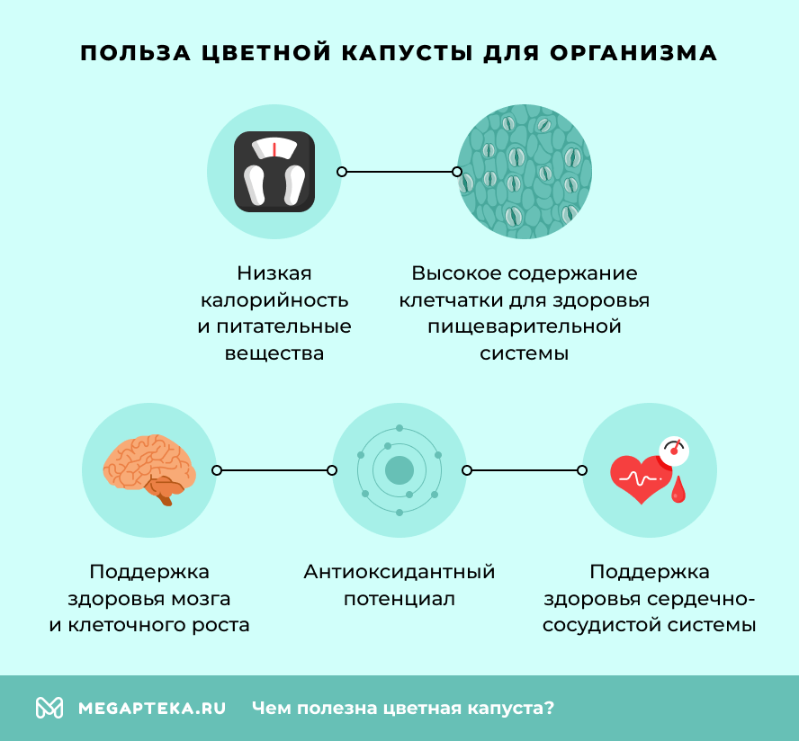 Польза цветной капусты для организма